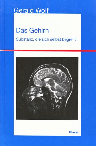 Das Gehirn - Substanz die sich selbst begreift