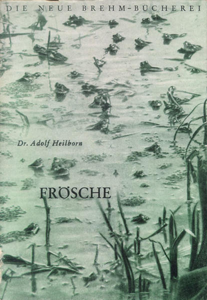 Der Frosch