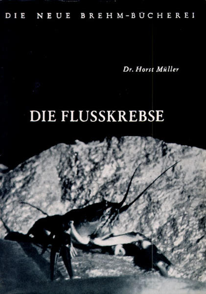 Die Flusskrebse