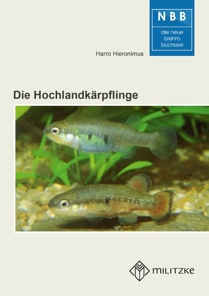 Die Hochlandkärpflinge