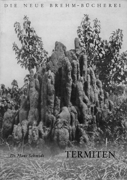 Termiten