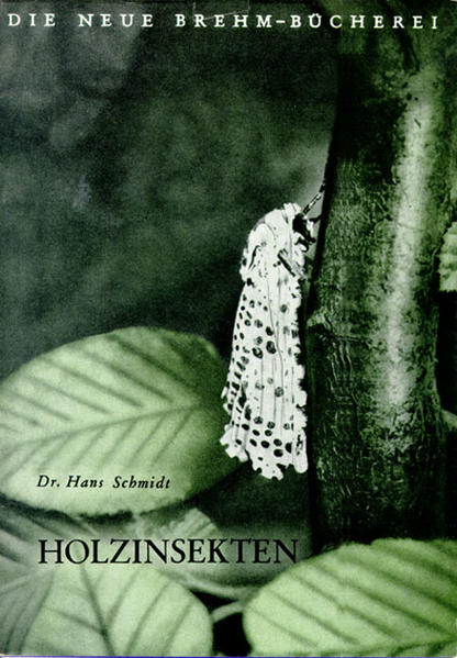 Holzinsekten