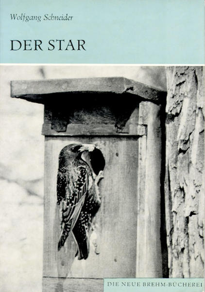 Der Star