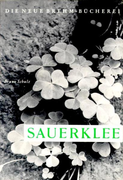 Sauerklee