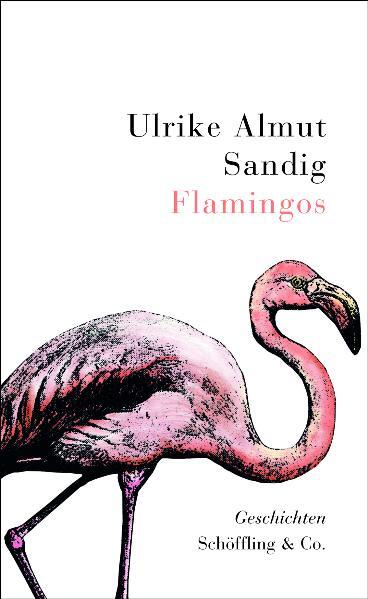 Flamingos