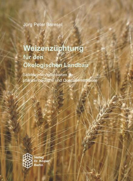 Weizenzüchtung für den Ökologischen Landbau