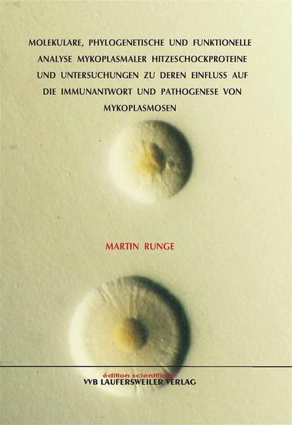 Molekulare, philogenetische und funktionelle Analyse mykoplasmaler Hitzeschockproteine und Untersuchungen zu deren Einfluss auf die Immunantwort und Pathogenese von Mykoplasmosen