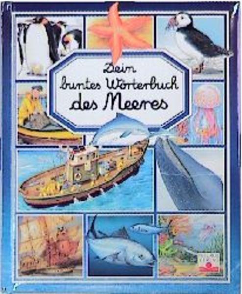 Meer