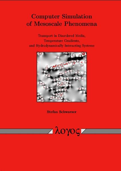 Computer Simulation of Mesoscale Phenomena: Transport in Disordered Media, Temperature Gradients, and Hydrodynamically Interacting Systems