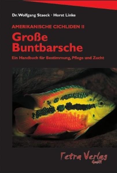 Amerikanische Cichliden II - Grosse Buntbarsche