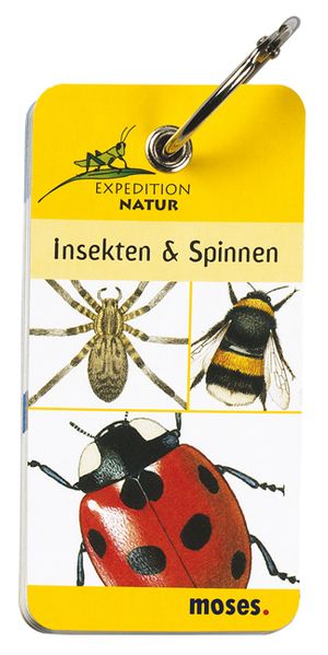 Expedition Natur - Insekten & Spinnen