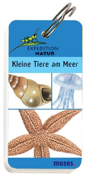 Expedition Natur - Kleine Tiere am Meer