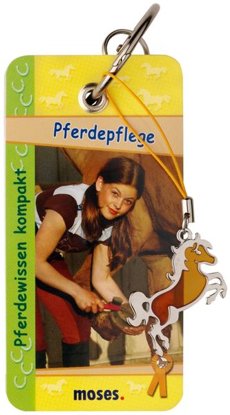Pferdepflege