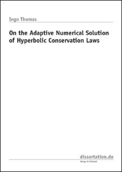 On the Adaptive Numerical Solution of Hyperbolic Conservation Laws