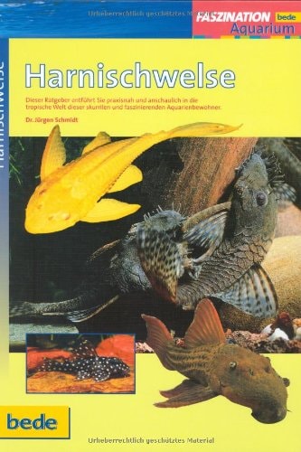 Faszination - Harnischwelse