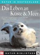 Das Leben an Küste und Meer