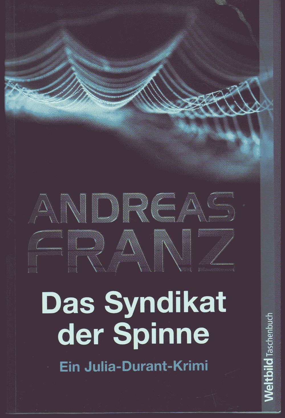 Das Syndikat der Spinne