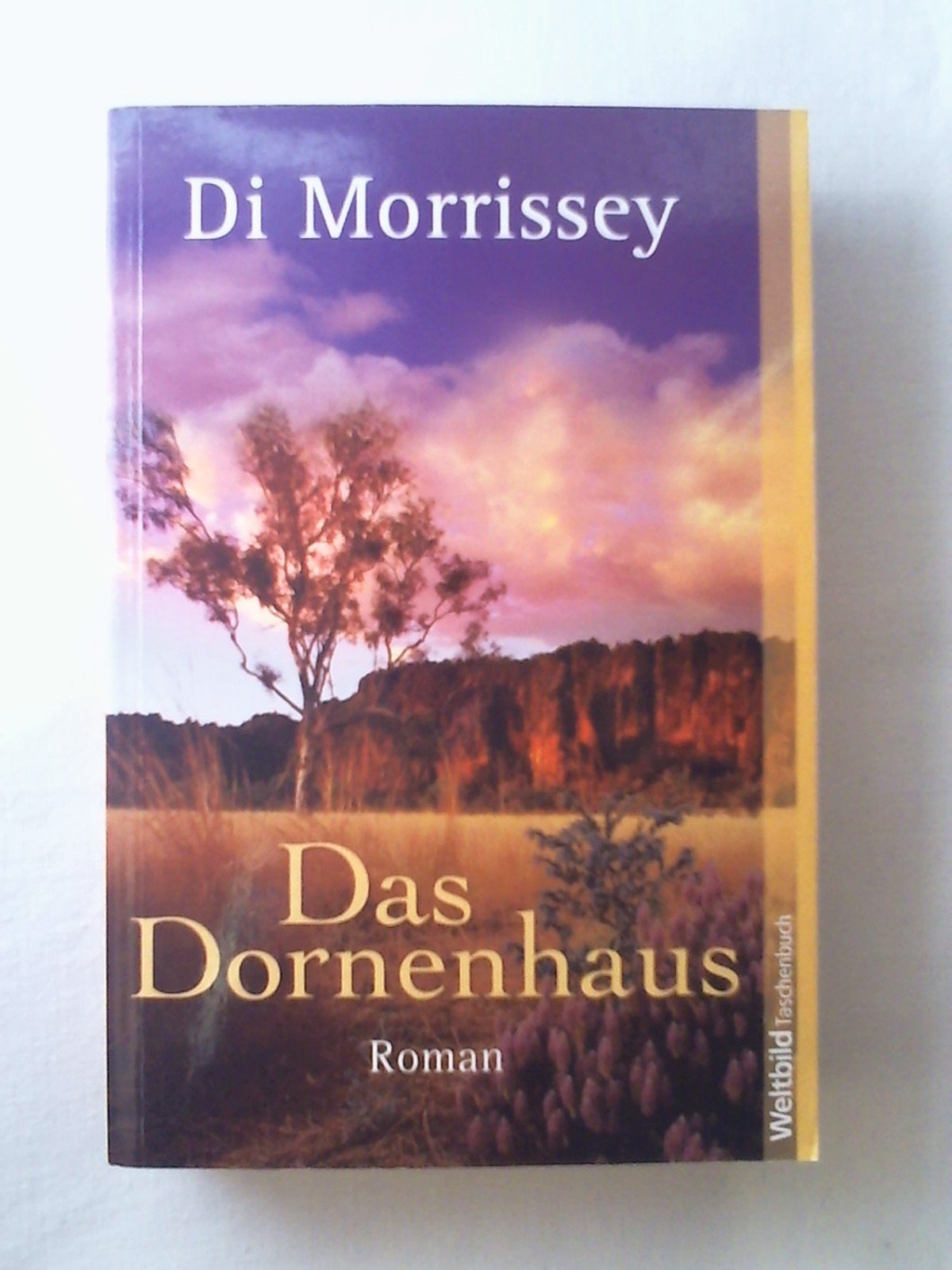 Das Dornenhaus