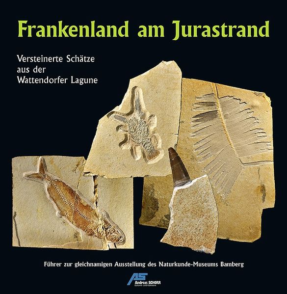 Frankenland am Jurastrand