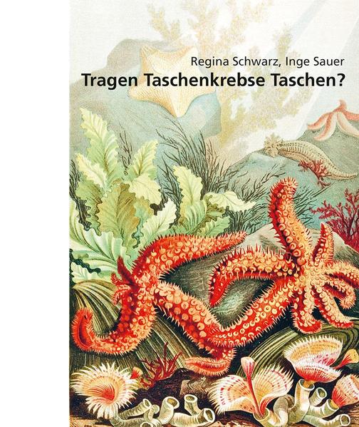 Tragen Taschenkrebse Taschen?