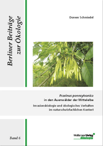 Fraxinus pennsylvanica in den Auenwälder der Mittelelbe