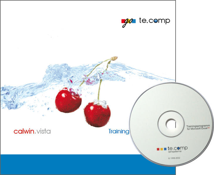 go te.comp - Microsoft Windows