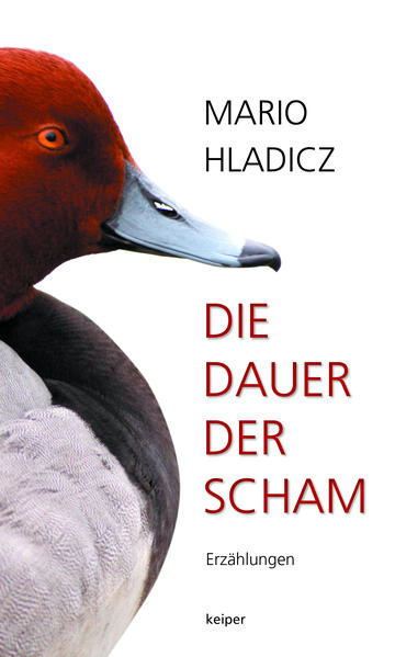 Die Dauer der Scham