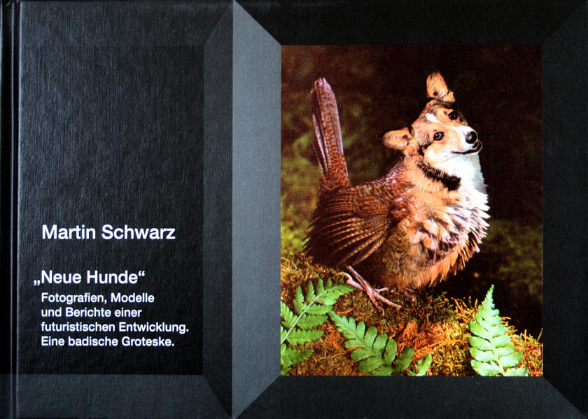 Neue Hunde