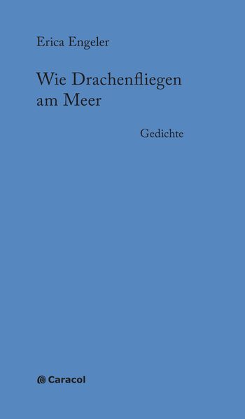 Wie Drachenfliegen am Meer