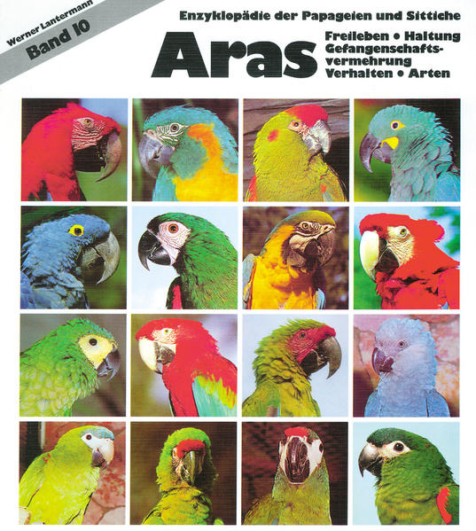 Aras