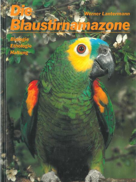 Die Blaustirnamazone