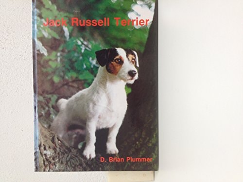 Jack Russell Terrier