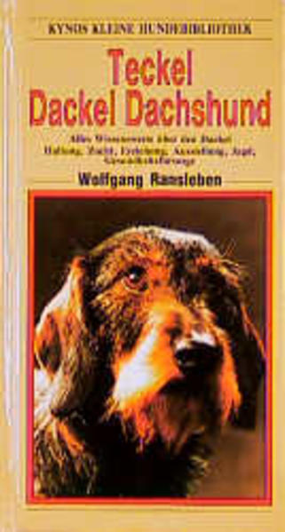 Teckel Dackel Dachshund