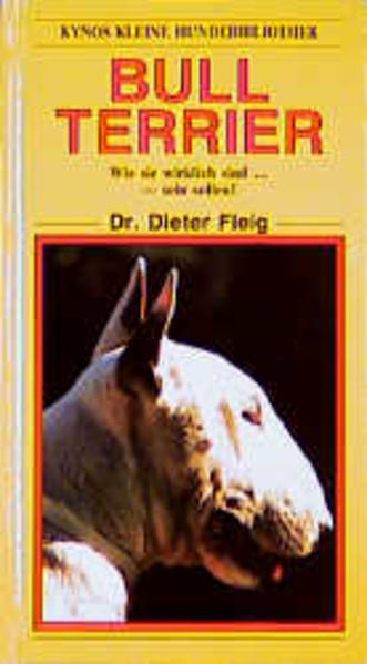 Bull Terrier