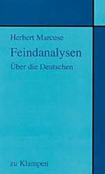 Feindanalysen