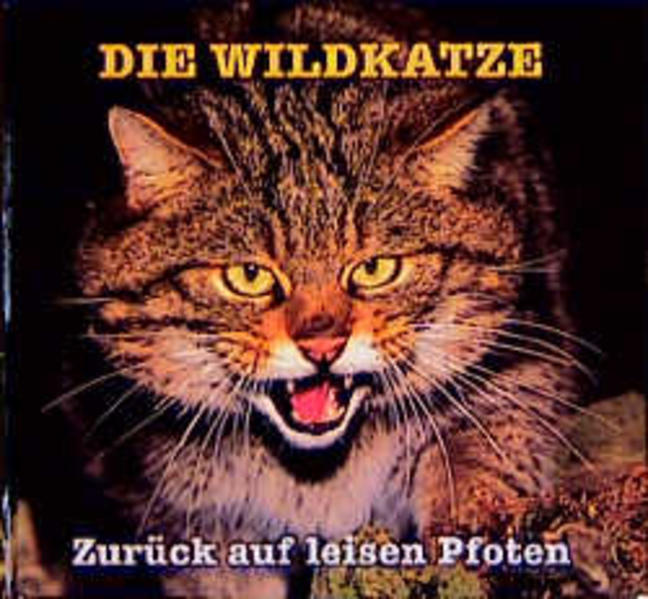 Die Wildkatze