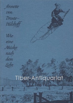 Wie eine Mücke nach dem Licht