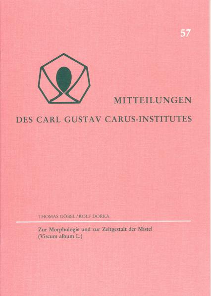 Zur Morphologie und zur Zeitgestalt der Mistel (Viscum album L.)