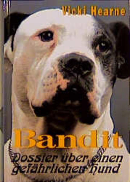 Bandit