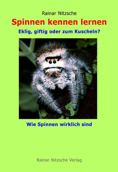 Spinnen kennen lernen
