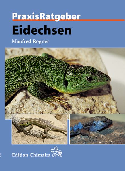 Eidechsen