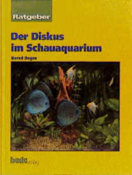Ratgeber Diskus im Schauaquarium