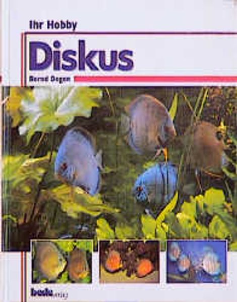 Ihr Hobby Diskus