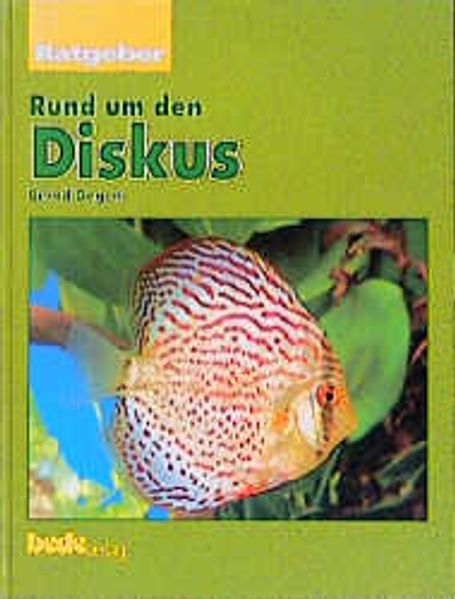 Ratgeber Rund um den Diskus