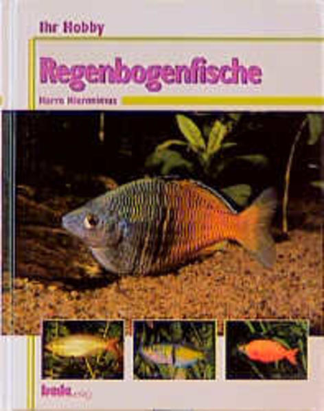 Ihr Hobby Regenbogenfische