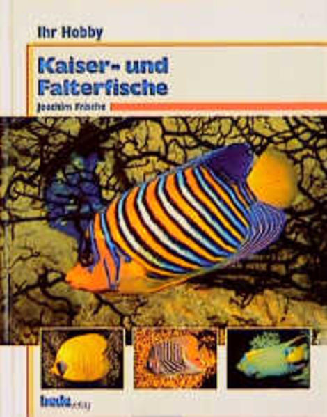 Ihr Hobby Kaiser- und Falterfische