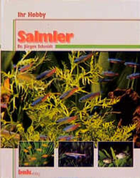 Ihr Hobby Salmler