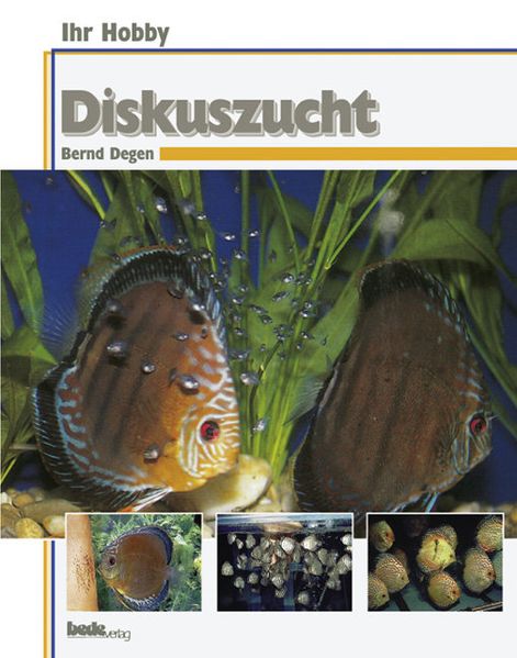 Diskuszucht