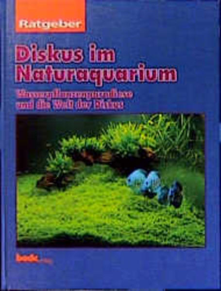 Ratgeber Diskusfische im Naturaquarium