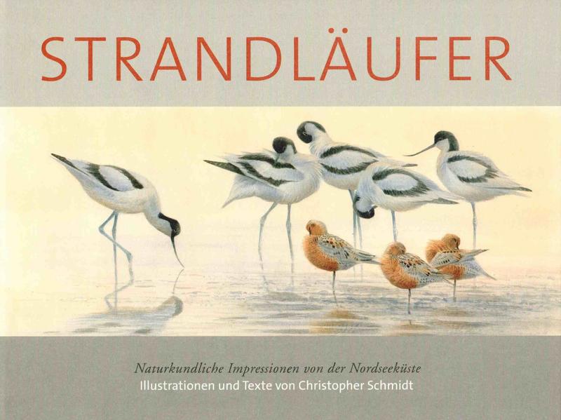 Strandläufer